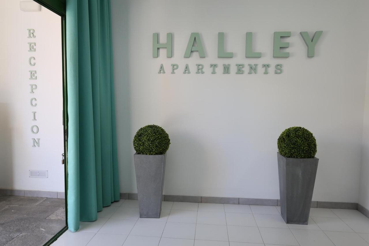 Halley Rooms Mogán Zewnętrze zdjęcie